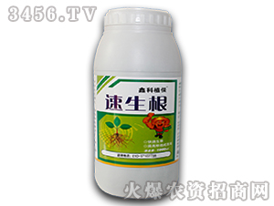 ������-������˹