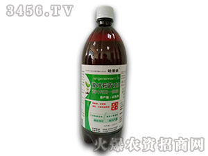 �S�~����120-������-������˹