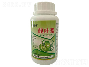 �n�~��-������˹