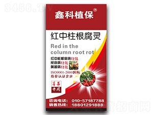 �t���������`����ݮ���ã�-������˹