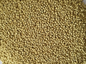 ȫ�I�B(y��ng)����ጷ�-�����Ƽ�