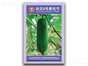 �s��8̖��ë��(ji��)��-��(ji��)�ϷN��-�����r(n��ng)