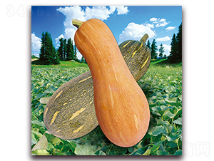 ���r8̖�Ϲϣ�888��-�ϹϷN��-�����r