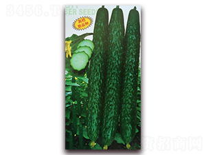 �����S��-�S�ϷN��-�����S��