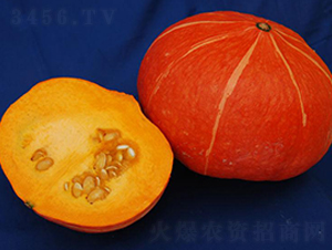 �t��4̖(h��o)-�ϹϷN��-�����S��