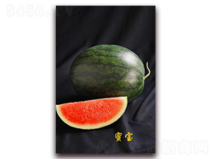 �ی�-���ϷN��-�����S��