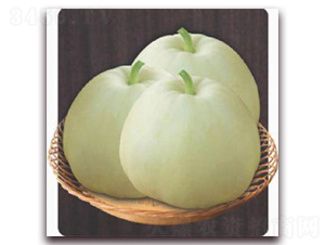 ����-��ϷN��-�����S��