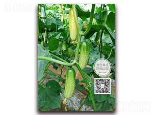 δ����̖-�S�ϷN��-�¸ɾ�