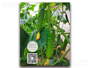 δ��116-�S�ϷN��-�¸ɾ�