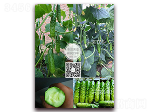 δ��100-�S�ϷN��-�¸ɾ�