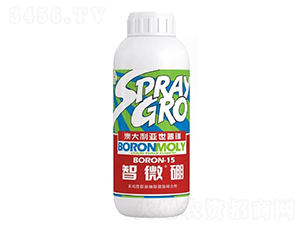 ��΢��-������