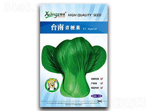 �_(t��i)���๣��-��˷N��-���߷N�I(y��)