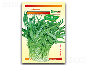 ���~���{��-�{�˷N��-���߷N�I(y��)