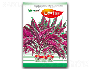 �t���~�{��-�{�˷N��-���߷N�I(y��)