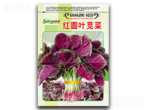 �t�A�~�{��-�{�˷N��-���߷N�I(y��)