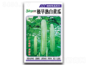 �O������S��-�S�ϷN��-���߷N�I(y��)