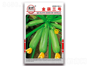 �����̖(h��o)-�����J�N��-���N�I(y��)