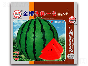 ����翹һ̖(h��o)-���ϷN��-���N�I(y��)