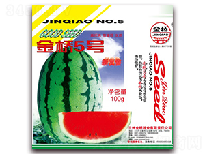 ���5̖(h��o)-���ϷN��-���N�I(y��)