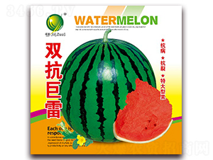 雙抗巨雷-西瓜種子-雷玉種業(yè)