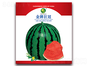 ���ƾ޹�-���ϷN��-����N�I(y��)