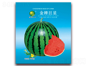 ���ƾ���-���ϷN��-����N�I(y��)