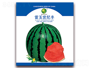 �������o�S-���ϷN��-����N�I(y��)