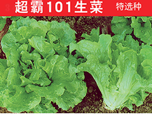 ����101����-���˷N��-�f(w��n)�r(n��ng)�߿�