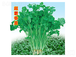 �������-��˷N��-�f(w��n)�r(n��ng)�߿�