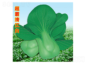 �����彭��-��˷N��-�f(w��n)�r(n��ng)�߿�