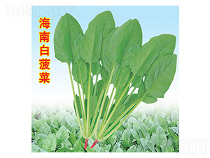 ���ϰײ���-���˷N��-�f(w��n)�r(n��ng)�߿�