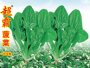 ���Բ���-���˷N��-�f(w��n)�r(n��ng)�߿�