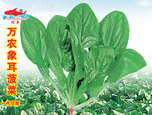 �f(w��n)�r(n��ng)�������-���˷N��-�f(w��n)�r(n��ng)�߿�