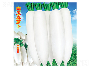 �����}��-�}���N��-�f�r(n��ng)�߿�