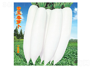 ѩ���}��-�}���N��-�f�r(n��ng)�߿�