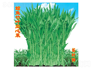 �L�~(y��)���~���Ĳ�-���Ĳ˷N��-�f(w��n)�r(n��ng)�߿�