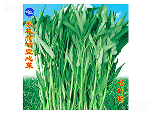 �p�C(j��)���~���Ĳ�-���Ĳ˷N��-�f(w��n)�r(n��ng)�߿�