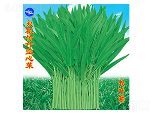 450���p�C(j��)���~���Ĳ�-���Ĳ˷N��-�f�r(n��ng)�߿�