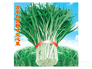 �f�r(n��ng)�׹����~���Ĳ�-���Ĳ˷N��-�f�r(n��ng)�߿�