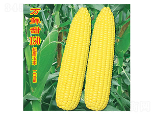 �f�r��150-�����׷N��-�f�r(n��ng)�߿�