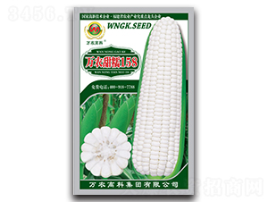 �f�r(n��ng)��Ŵ158-Ŵ���׷N��-�f�r(n��ng)�߿�