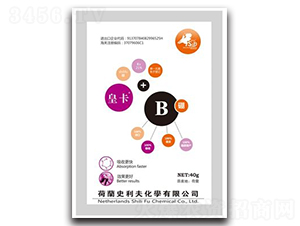 �ʿ���-ʷ����