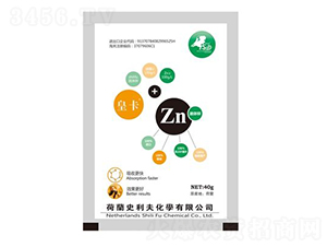 40gҺ�w�\-ʷ����