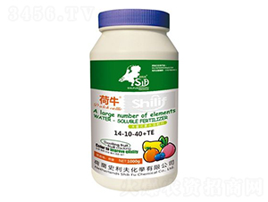 1000g大量元素水溶肥料14-10-40+TE-荷牛-史利夫