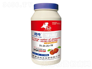 1000g大量元素水溶肥料21-21-21+TE-荷牛-史利夫