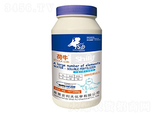 大量元素水溶肥料-磷鉀花果動(dòng)力-史利夫