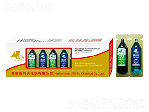 A+Bᘄ��B�w�M��-��ţ-ʷ����