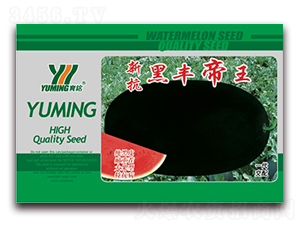 �¿����S����-���ϷN��-����(y��u)�߿�