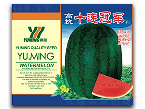 �߿�ʮ�B��܊-���ϷN��-����(y��u)�߿�