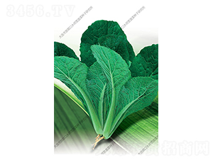 �๣С�ײ�-�ײ˷N��-ˮ���I(y��ng)